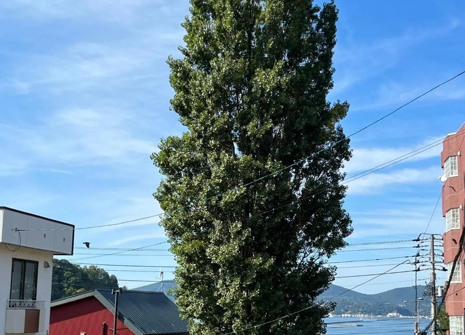 Populus-Club Otaru - Vacation Stay 93686V